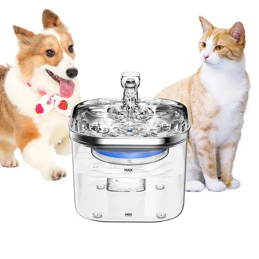 NPET Pet Hydration Fountain - pawfectessentialspot.store
